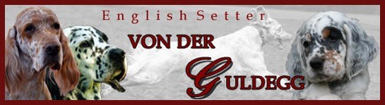 Unser Banner zum Mitnehmen