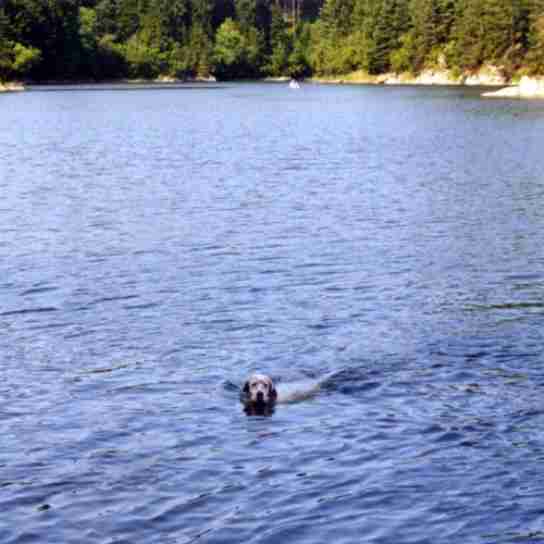 am Stausee Ottenstein