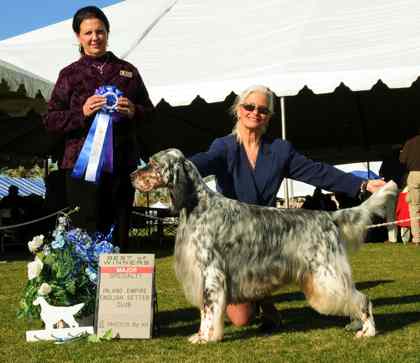 Fairray Sir Winston handled by Paula Dempsey