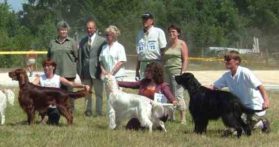 Romy holt Res.BEST IN SHOW