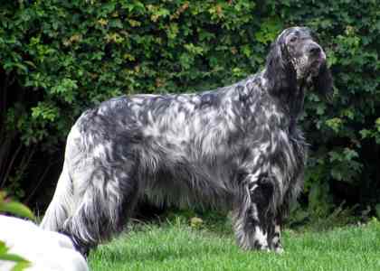 Daphne mit 16 Monaten