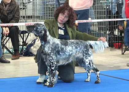 Ember mit 10 Monaten