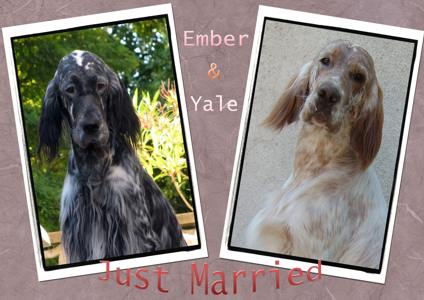 Ember und Yale