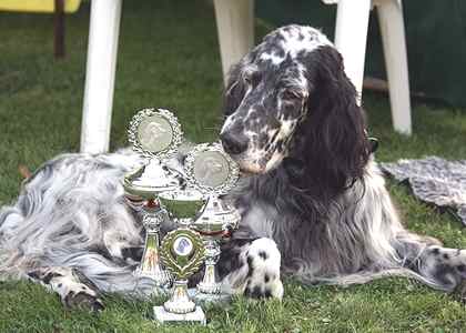 Amazing Grace von der Guldegg