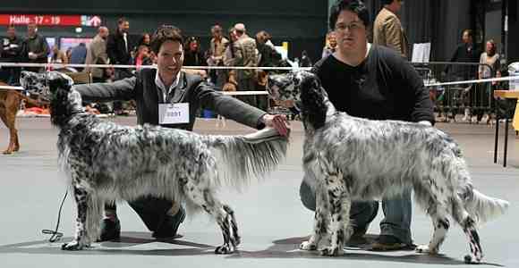 Die Halbgeschwister Grace und Cherry