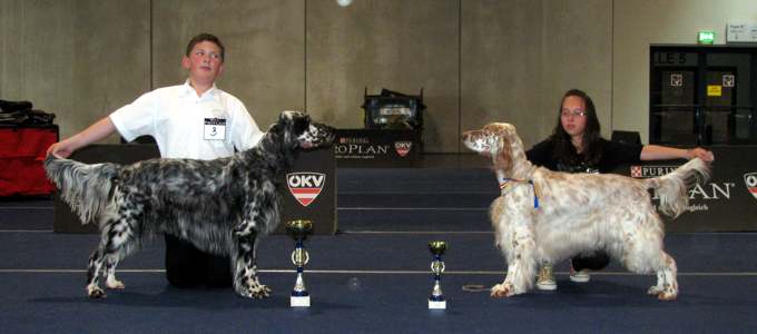 Die erfolgreichen Juniors