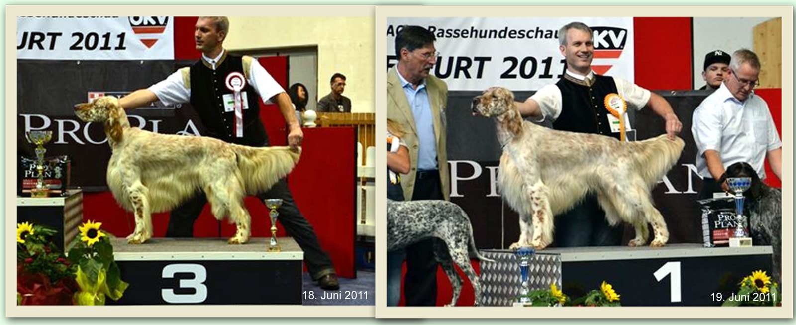 Rodney "fast" unschlagbar!