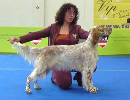 Liz wird BEST JUNIOR OF GROUP