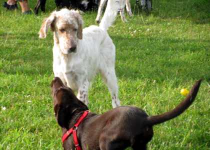 Marvin mit 5 Monaten