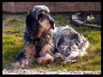 Natty im 15. Lebensjahr