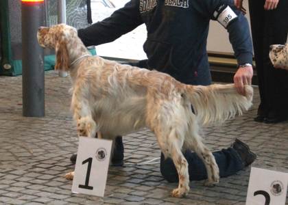 Rodney mit 12 Monaten