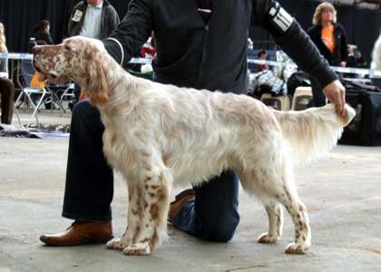 Rodney mit knapp 12 Monaten