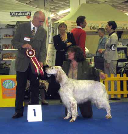 Romance of My Heart von der Guldegg