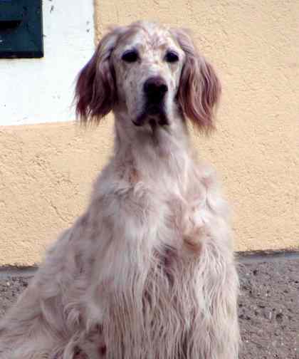 Romy, unser Superstar!