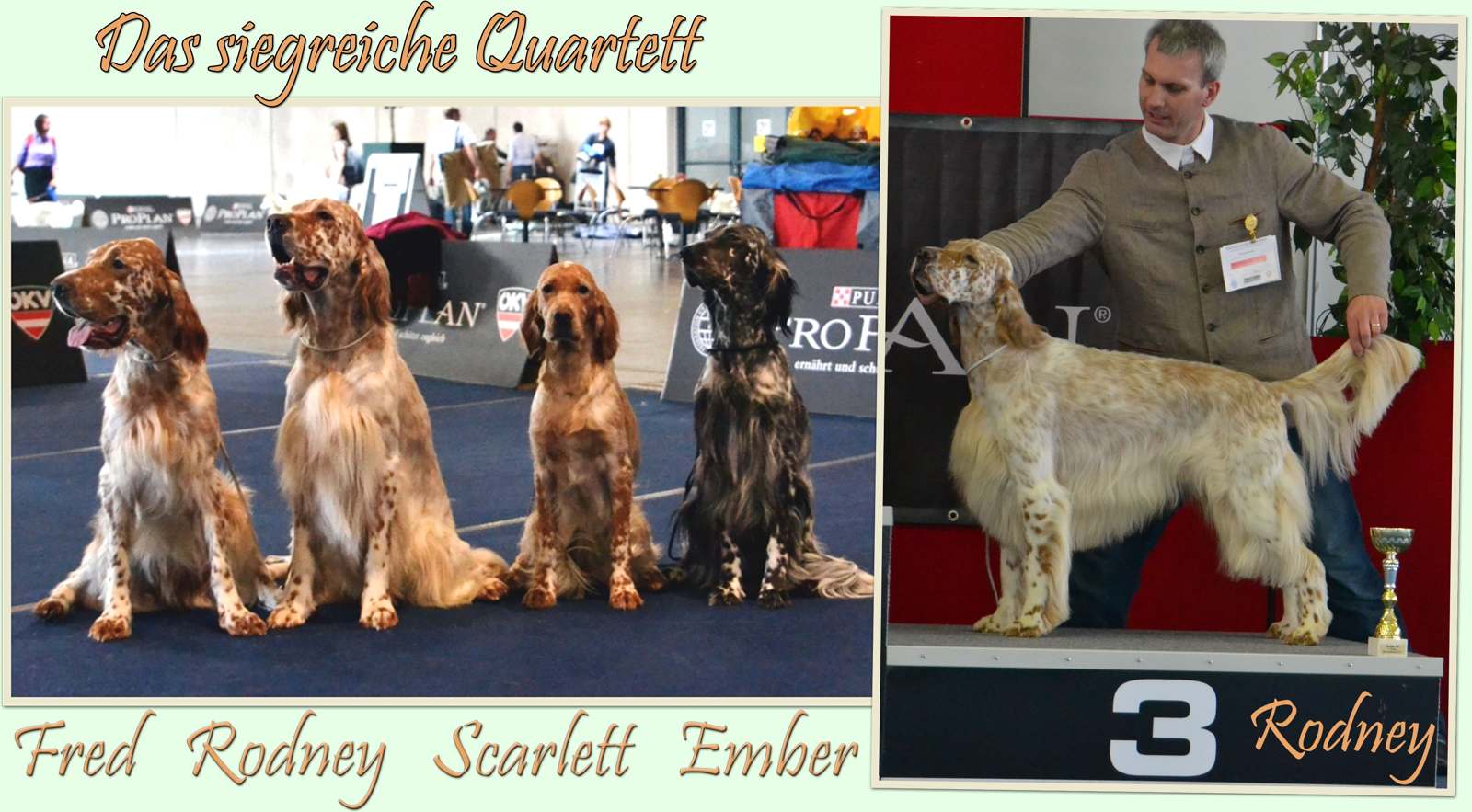 Das siegreiche Quartett