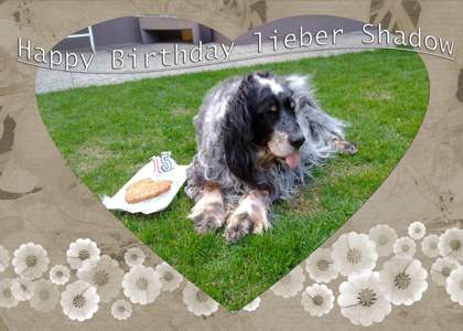 Shadow an seinem 15. Geburtstag!