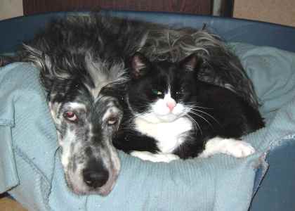 Summer, Mutter von Sunny