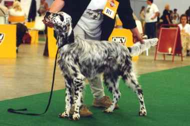 Blue mit 6&frac12; Monaten