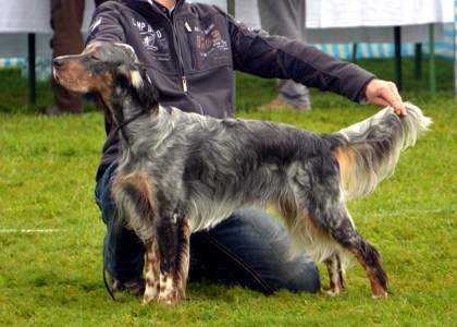 Gentle mit 15 Monaten