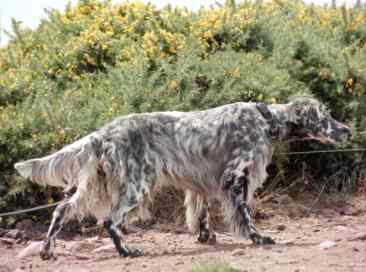 Grace mit 2&frac12; Jahren