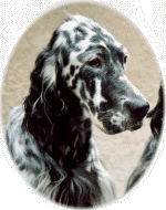 Grace mit 1&frac12; Jahren