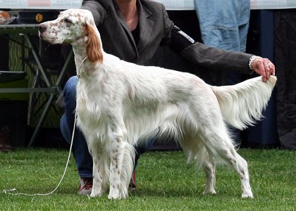 Holly mit 11 Monaten