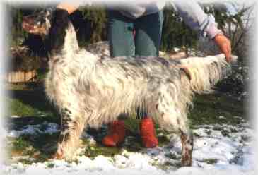 Jana mit 2&frac12; Jahren