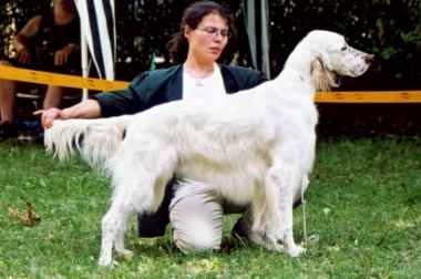 Midas mit 18 Monaten