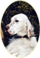 Midas mit 14 Monaten