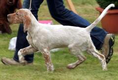 Rodney mit 3 Monaten