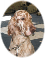 Yukon mit 13 Monaten