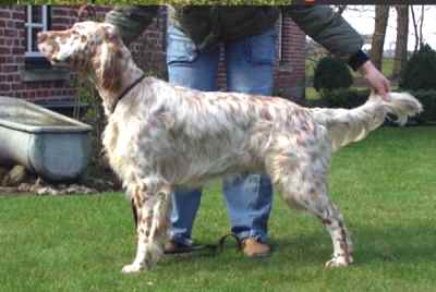 Yukon mit 12 Monaten