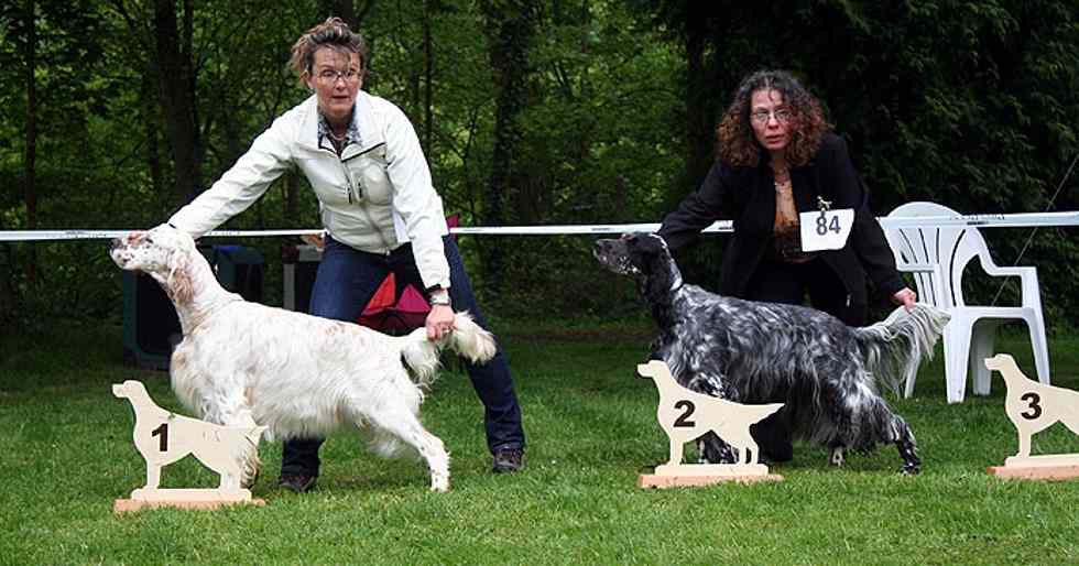 Express und Daphne sind Halbschwestern