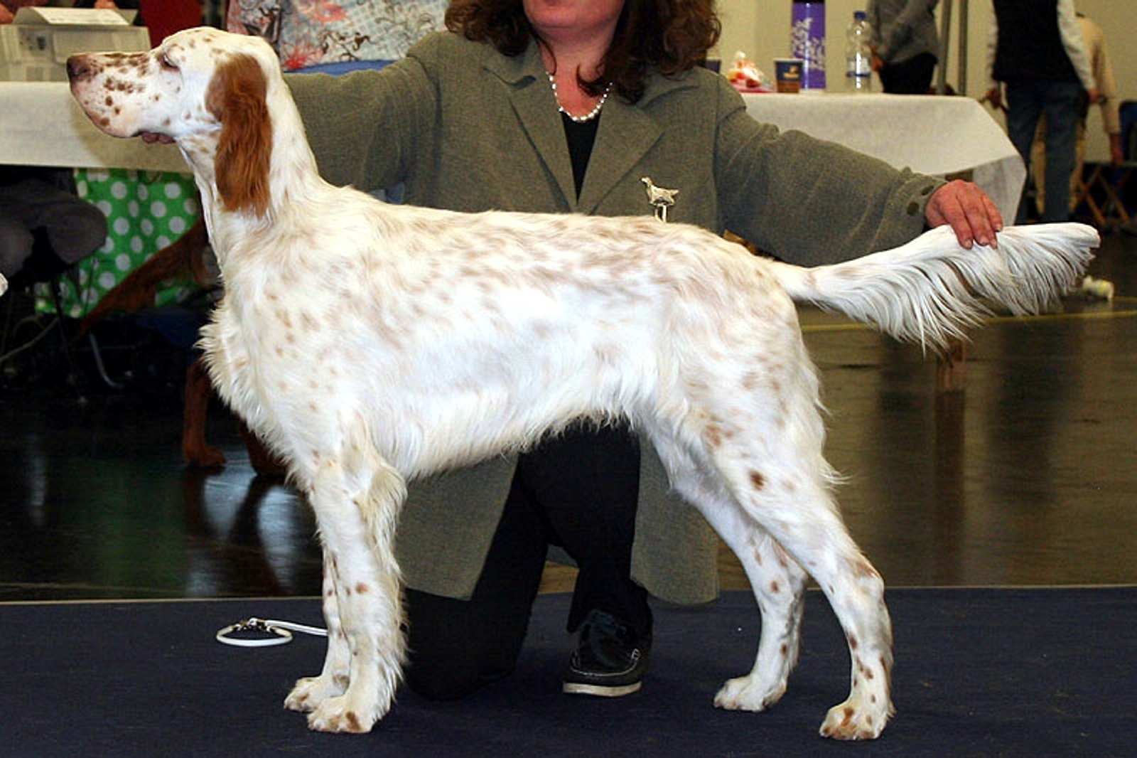 Horatio mit 7 Monaten