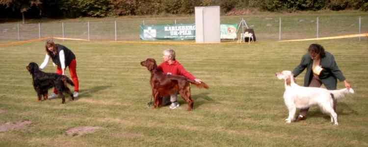 Die drei Rassebesten