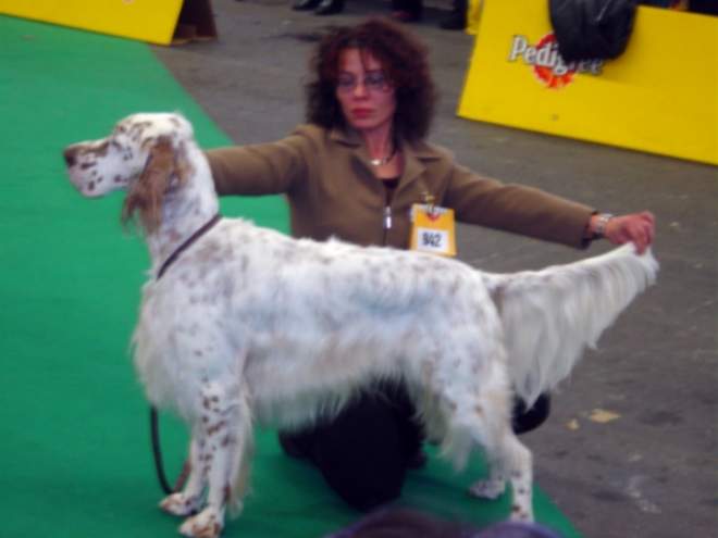 Jared mir 18 Monaten