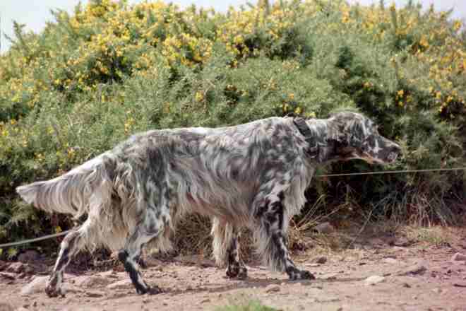 Grace mit 2&frac12; Jahren