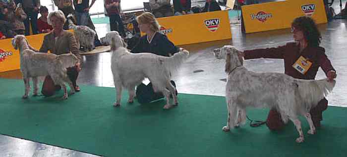 Die Entscheidung ums BOB