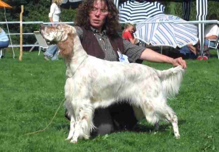 Casey mit 17 Monaten