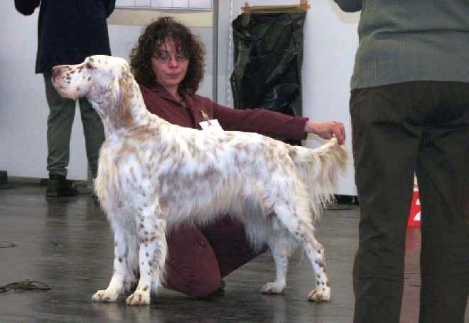 Cayenne mit 20 Monaten