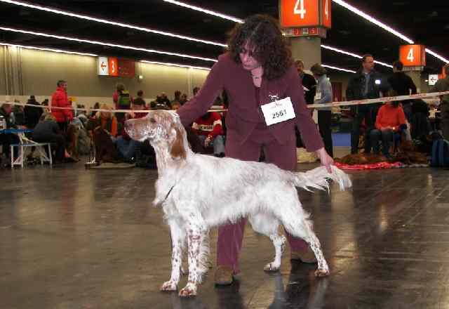 Yale mit 9&frac12; Monaten