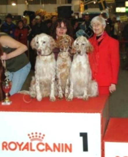 Die Sieger im Ehrenring