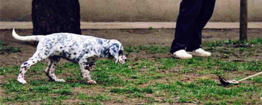 Twister mit 10 Wochen