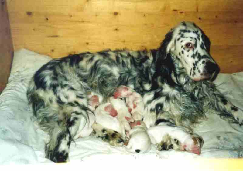 Kurz nach der Geburt