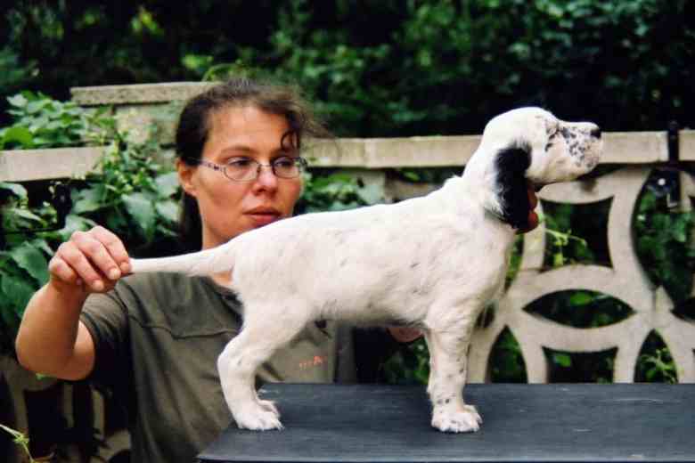 Jeffrey mit 6 Wochen