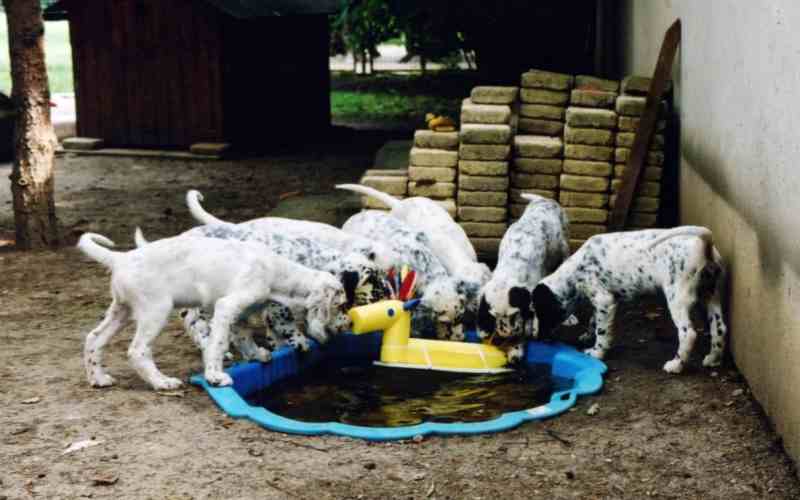 Jared, Jeffrey, Julie, Jordan, Annie, Joyce und Jill