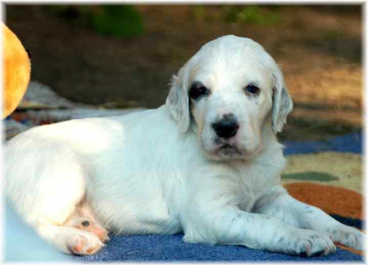 Affinity to My Heart