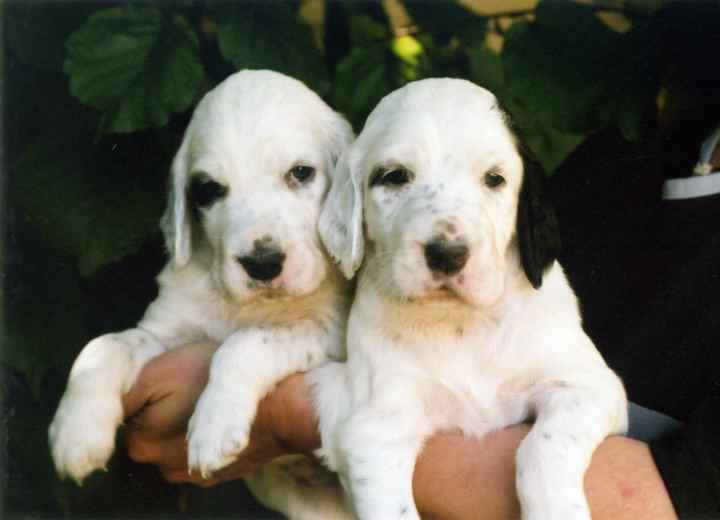 Affinity to My Heart und Amazing Grace