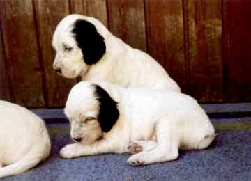 Air Force One und Amazong Grace