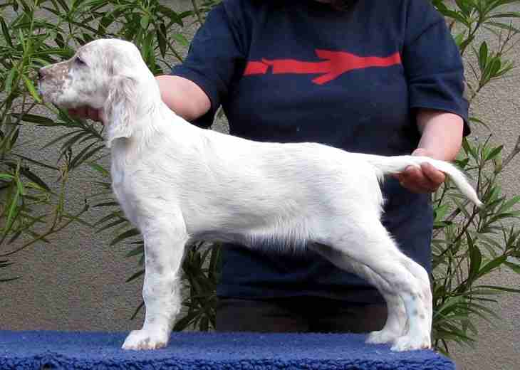 Marvin mit 2 Monaten